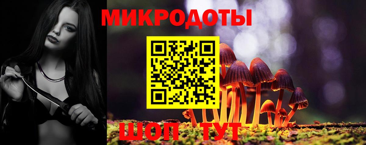 Галлюциногенные грибы Magic Shrooms Камышлов