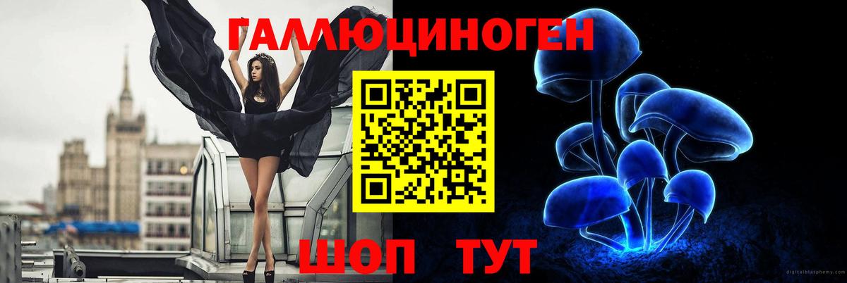 Псилоцибиновые грибы мицелий  Галлюциногенные грибы мухоморы  Вход с VPN  закладки  Камышлов 