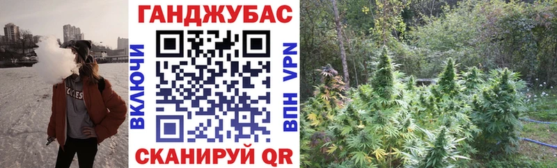 где можно купить   Камышлов  Конопля семена 